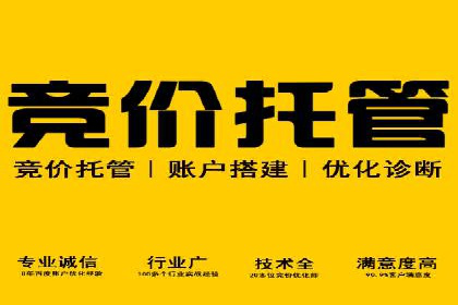 谷歌SEM在汽车行业的运用：某汽车品牌的营销策略分析